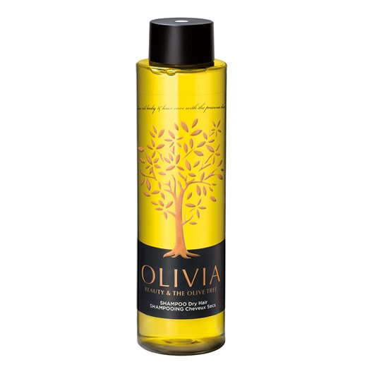 Shampoo Dry Hair 300ml