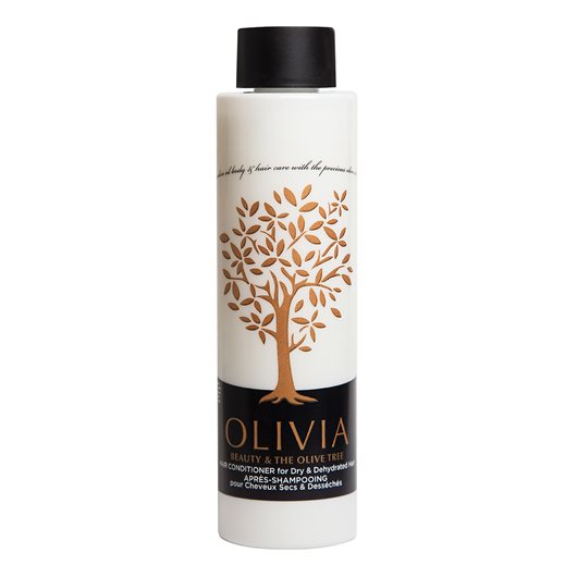 Hair Conditioner Dry 300ml